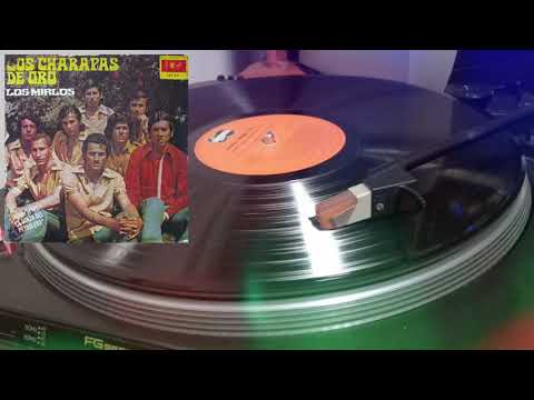 Los charapas de oro / los mirlos / INFOPESA 1975
