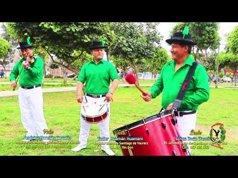 Negrillos de andahuaylas - Marche • Huamancha de Santiago de Yaurecc