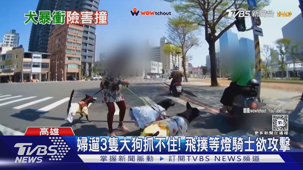 這是阿嬤的叫聲!遛3隻大狗抓不住飛撲騎士欲攻擊
