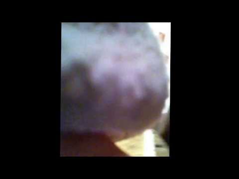 Emma hijacked my phone!