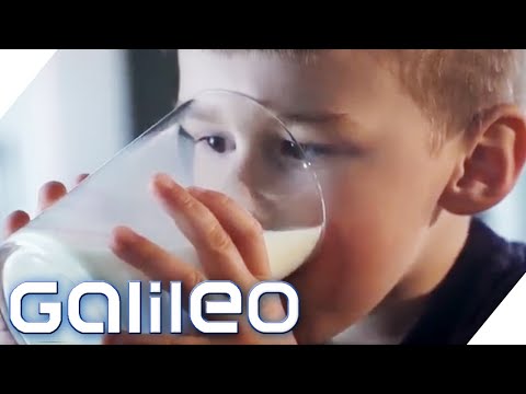 Carcinogenic?! How healthy is milk really? 5 secrets about milk | Galileo | ProSieben