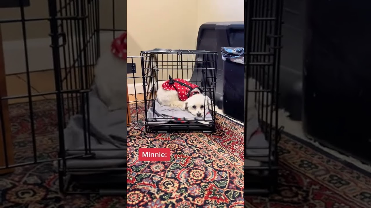 YouTube video preview