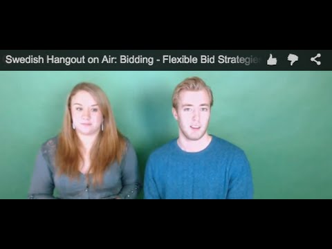Swedish Hangout on Air: Budgivning - Flexibla budstrategier i AdWords