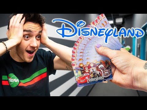 Boss Paid Everyone To Go To Disneyland!