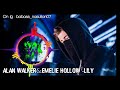 Alan Walker Emelie Hollow Lily Alan Walker