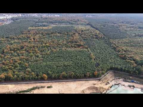 15.10.25 gefilmt über dem rodungsbedrohten Langeler Bannwald bei Frankfurt