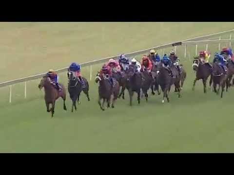 2015.02.28 Hawaii Stakes (RSA) - Chekilli