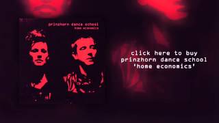 Prinzhorn Dance School "Education" (Official Audio)
