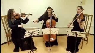 String Trio 