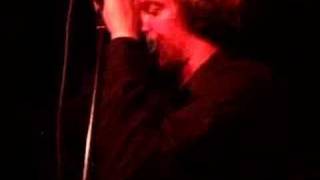 The Most Serene Republic - Present of Future End (live)