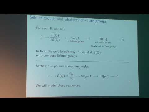 Heuristics for the arithmetic of elliptic curves – Bjorn Poonen – ICM2018