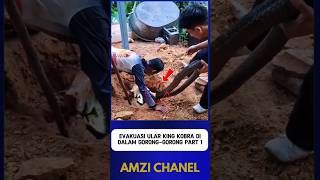 Download lagu EVACUATION OF A KING COBRA SNAKE IN A CULTURE part 1 mp3 Download lagu EVACUATION OF A KING COBRA SNAKE IN A CULTURE part 1 mp3