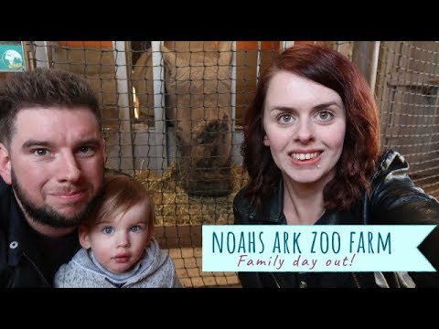 NOAHS ARK ZOO FARM | THE PERFECT FAMILY DAY OUT