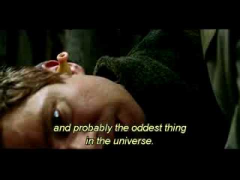 The Hitchhiker's Guide to the Galaxy-Babel Fish