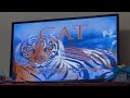 Eyewitness Cat DVD Menu Walkthrough 9 10 Eyewitness Cat Tiger
