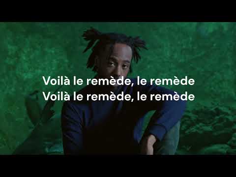 Le Remède (Luidji, Karaoke)