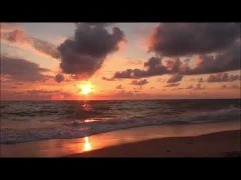 Aydin & Royal ( arzum budur dunyada mennen sora şen yasa ) 2021