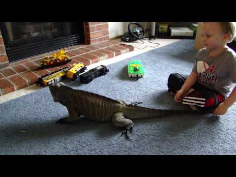 YouTube Video yy-Pq5zLjcc