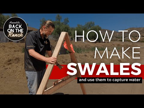 Swales: Permaculture Water Capture & Landscape Design