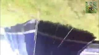 Cover art for I've Been Stung By A Wasp