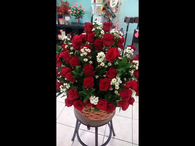 Vídeo relacionado con Gdecora Rosa Eterna Preservada Rojo Natural con Tallo 55cm Mujer,Mamá,Novia,Abuela - Flor Infinita para Cumpleaños, Sant Jordi y Día de la Madre - Rosas Preservadas de Ecuador