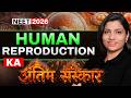 Human Reproduction Last Hope Revision Ritu Rattewal Neet2026 Neet