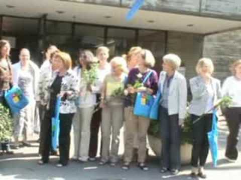 Rodenkirchen.de News vom 16.08.2008 Köln-Rodenkirchen