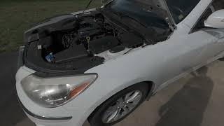 Where is the Crankshaft Position Sensor : Hyundai Genesis 3.8 2011, 2012, 2013, 2014