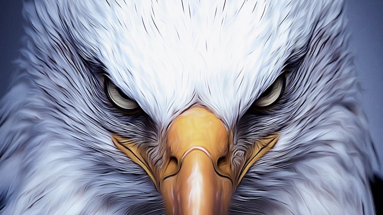 Pay back 2 para hilesi apk indir