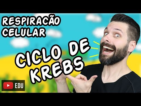 Respiração Celular (Parte 2) - Ciclo de Krebs | Biologia com Samuel Cunha