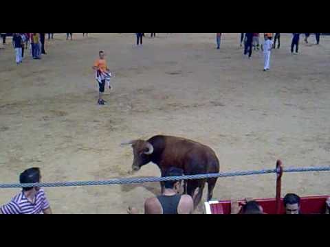 encierro navalcarnero