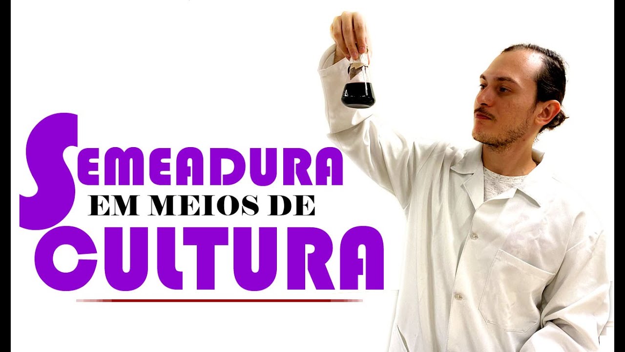 Microbiologia: Semeadura bacteriana