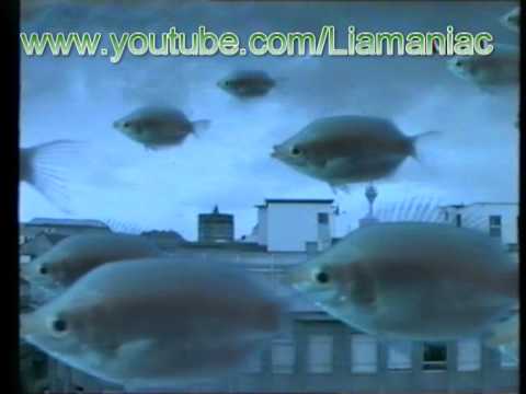 God's Groove - Into The Blue