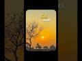 Koi Nagma Kahi Gunja Shorts Makingmemoriesclick17 Trending Shortsfeed