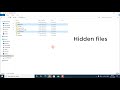 How to view Hidden folders/files on C Drive on Windows 10/7/8