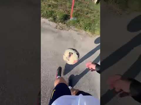 Video thumb