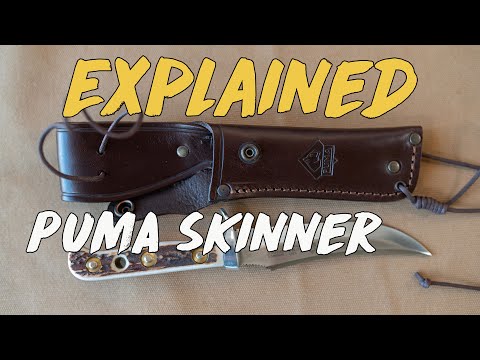 Geartester Explained - PUMA Skinner