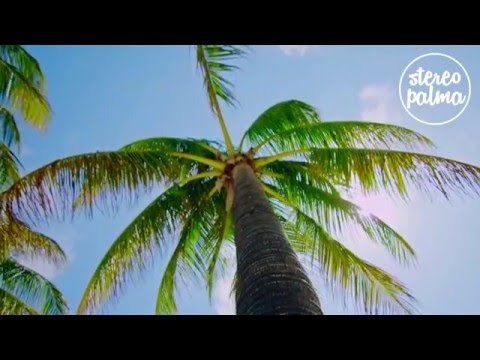 Stereo Palma Showcase @ WMC Miami 2016