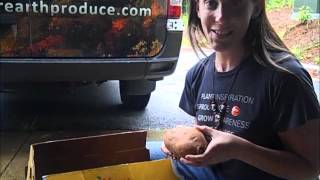 Mother Earth Produce Loves Sweet Taters