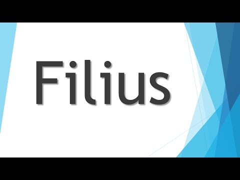 Aufbau von Netzwerken mit Filius