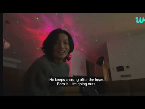 🐰Jungkook weverse LIVE [ ENG SUB ]•03.02.2023• JK with bam, fried chicken, teasing Taehyung & jikook