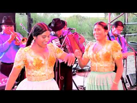 CUMBIAS MIX VOL 1    EN VIVO VAVI ZACLI