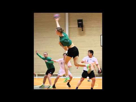 Haninge - Skogås HB 2016-02-07