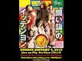 NJPW Wrestle Kingdom 9 Hot Tub Review