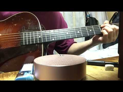 Miss Molly. Dani Jo Meeks.  2014. 