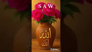Download lagu SALLAWATULLAHI 💚 RABBI 💕 WASALAAMUWU 🤍 AHLAYIM 💐 🎈 ALLAHUMMA 📿 AAMEEN 🤲 mp3
