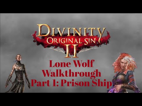 Divinity Original Sin 2 Lone Wolf Walkthrough- Part 1
