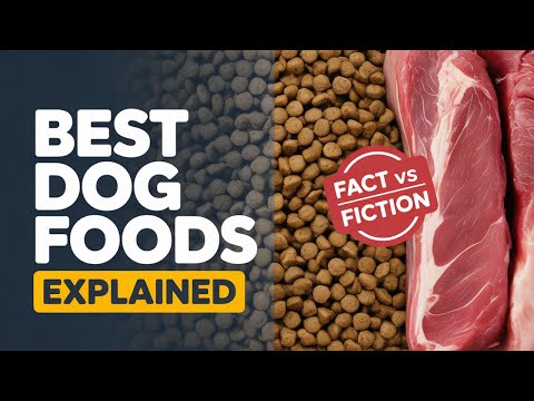 Best Dog Foods Explained: Vet Tips, Myths Busted & What to Feed