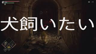 【PS5実機実況】Demon's Souls chapter.6【イケメンダースモールの旅】