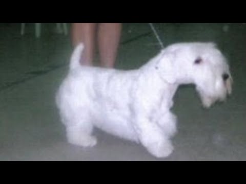 God's Light - YouTube